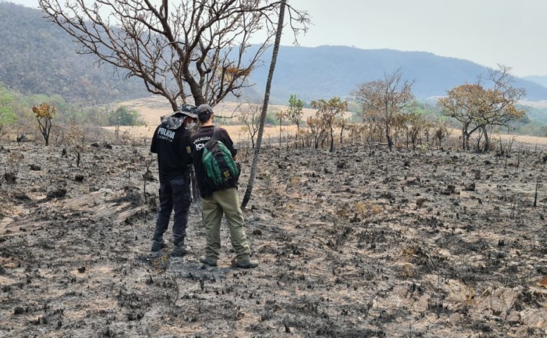 Imagem Ilustrando a Notícia: Chapada dos Veadeiros: ação de fazendeiro causou a queima de mais de 10 mil hectares