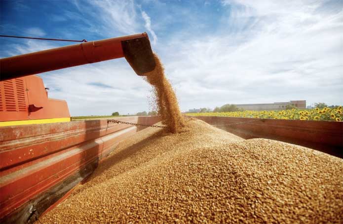 Imagem Ilustrando a Notícia: Falta de chuva pode gerar queda na produção de grãos pelo 6º mês seguido