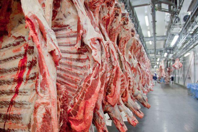 Imagem Ilustrando a Notícia: Após casos de vaca louca, veto chinês à carne brasileira chega a seis semanas gerando repercussão