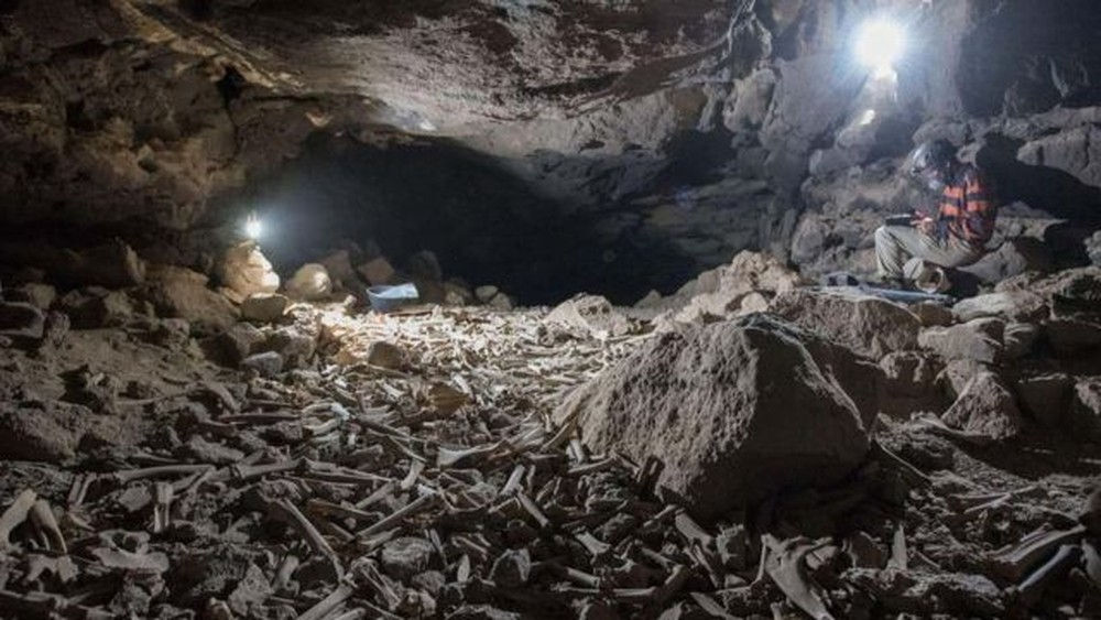Imagem Ilustrando a Notícia: Pilha de ossos humanos e animais é descoberta em caverna na Arábia Saudita
