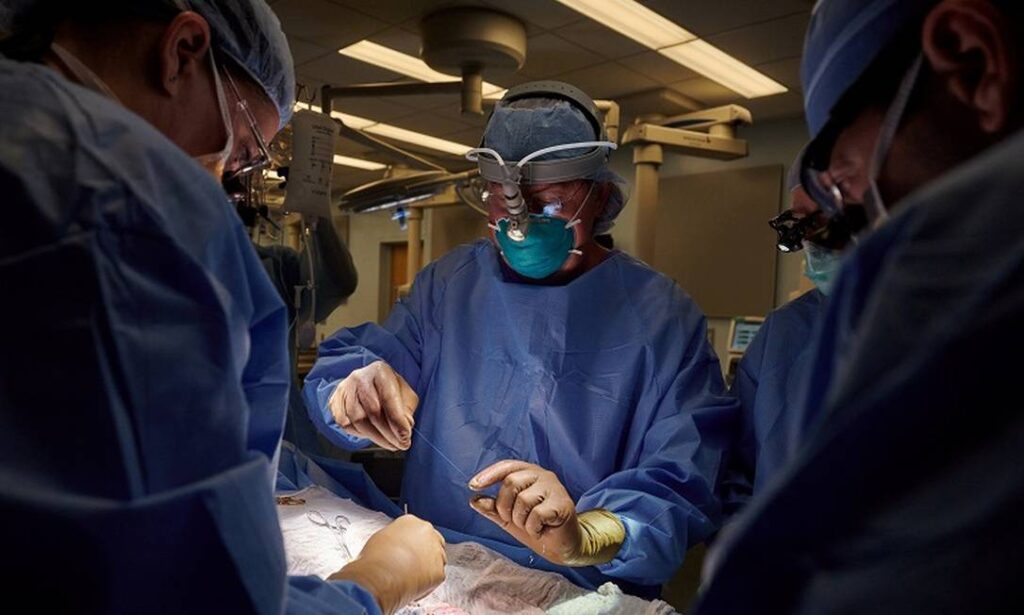 Imagem Ilustrando a Notícia: Transplante de órgão animal para ser humano é realizado com sucesso pela primeira vez na história
