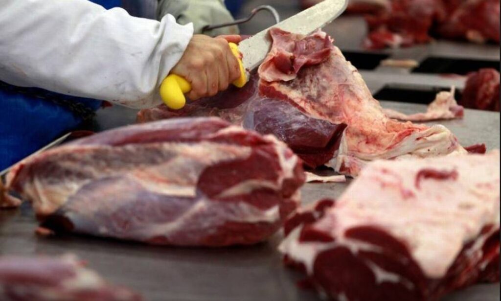 Imagem Ilustrando a Notícia: Suspensão de vendas para a China pode diminuir o valor da carne nos frigoríficos brasileiros