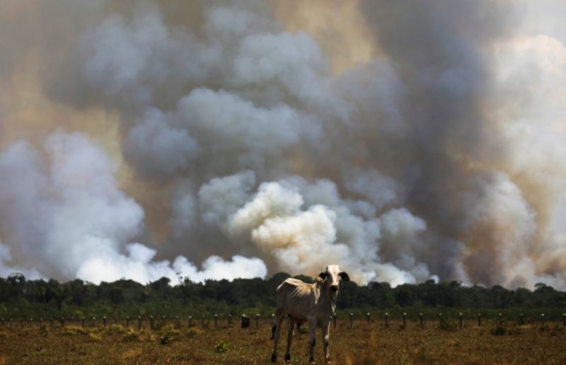 Imagem Ilustrando a Notícia: Governo Bolsonaro cortou 93% da verba para pesquisa em mudanças climáticas