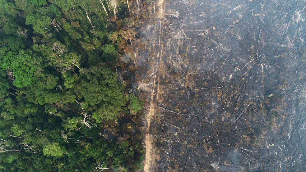 Imagem Ilustrando a Notícia: Inpe afirma que 2021 é o terceiro pior ano de queimadas na história do Amazonas; entenda