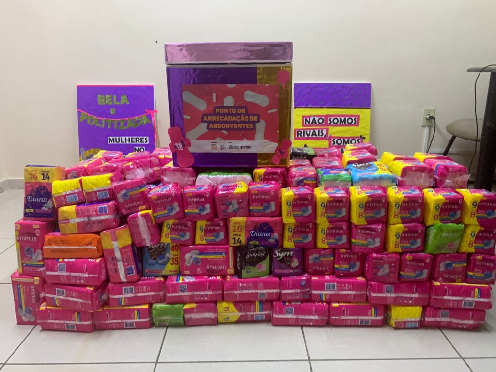 Imagem Ilustrando a Notícia: Campanha: cerca de 3.626 unidades de absorventes são arrecadados e distribuídos em Goiânia