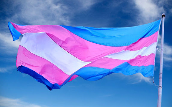 Imagem Ilustrando a Notícia: Transgêneros e não binários representam 2% da população brasileira, revela pesquisa