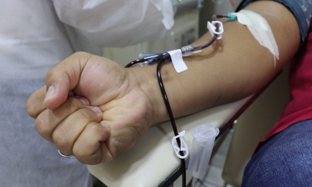 Imagem Ilustrando a Notícia: Senado aprova lei que proíbe discriminação de doadores de sangue por orientação sexual