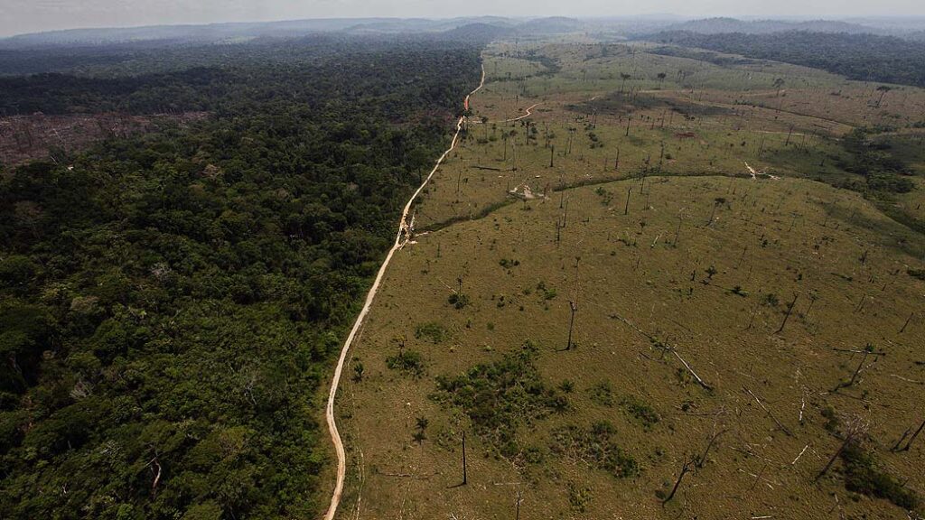 Imagem Ilustrando a Notícia: SindCT aponta omissão em relatório com resultados sobre desmatamento da Amazônia e causa escândalo