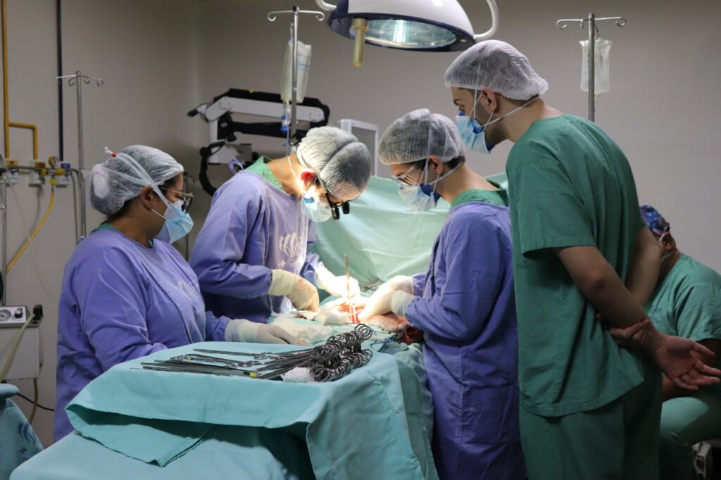 Imagem Ilustrando a Notícia: Oito especialidades estão previstas para mutirão de 50 mil cirurgias no Estado