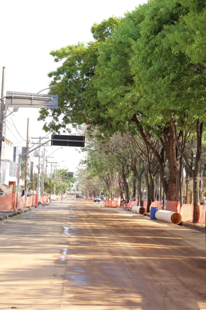 Imagem Ilustrando a Notícia: Prefeitura de Goiânia garante melhora na drenagem das águas das chuvas em 80%