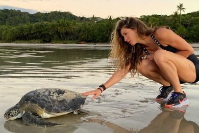Imagem Ilustrando a Notícia: Gisele Bündchen encontra e salva tartaruga presa em uma pilha de lixo na areia da praia