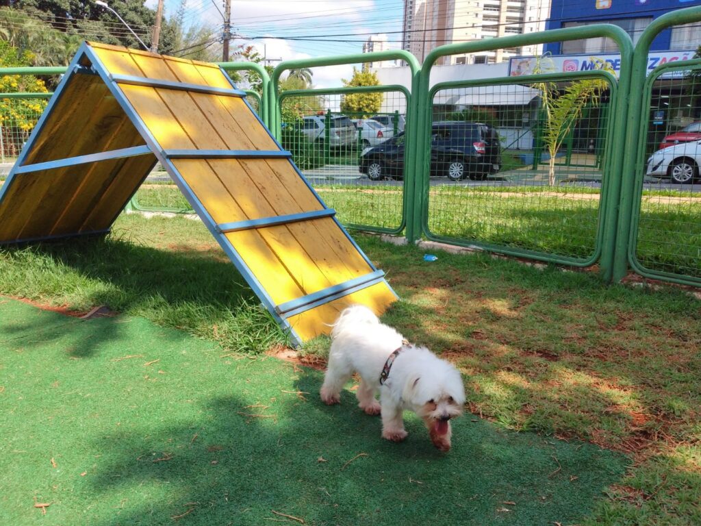 Imagem Ilustrando a Notícia: Animais de estimação: é ampliado construção de espaços para pets nas praças de Goiânia
