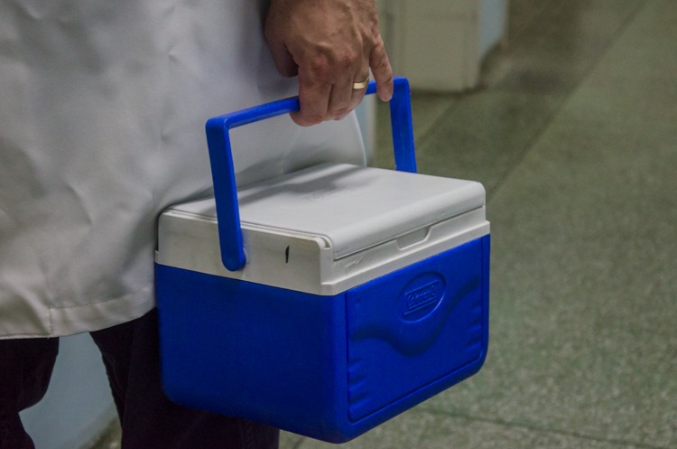 Imagem Ilustrando a Notícia: Pandemia provoca queda de doadores de órgãos e tecidos no Brasil; números acendem alerta