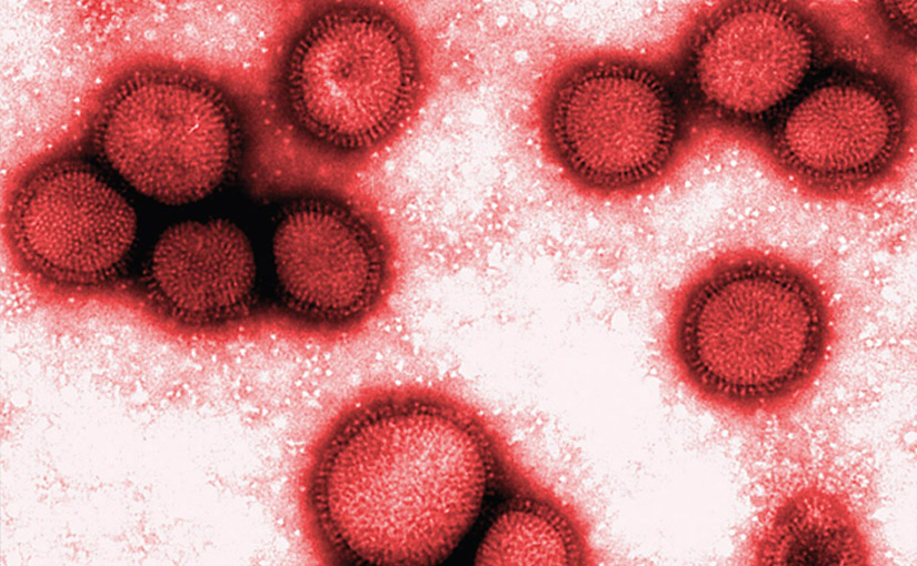 Imagem Ilustrando a Notícia: Estado dobrou o número de casos de H3N2 em apenas 4 dias; veja o total de infectados