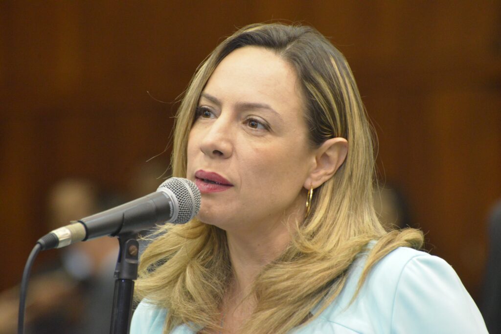 Imagem Ilustrando a Notícia: Adriana Accorsi comenta atuação do PT na Câmara e revela expectativas para as Eleições 2022