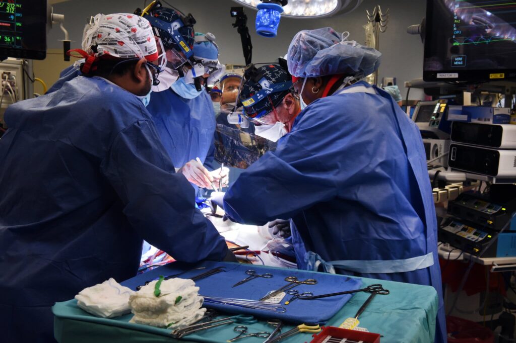 Imagem Ilustrando a Notícia: Avanço na medicina: homem recebe primeiro transplante de coração de porco