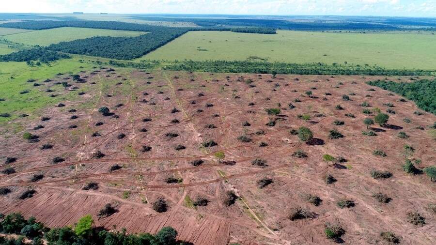 Imagem Ilustrando a Notícia: Desmatamento do Cerrado pode deixar de ser monitorado por falta de verba