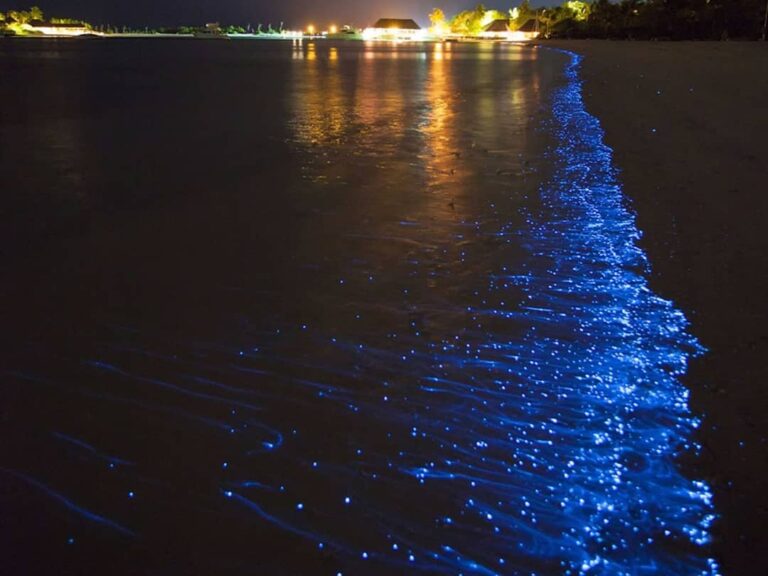 Imagem Ilustrando a Notícia: Fotógrafo registra luzes nas ondas do mar do Rio Grande do Sul; veja as imagens e entenda o fenômeno