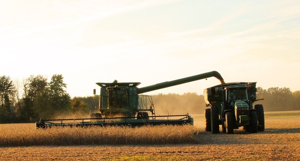 Imagem Ilustrando a Notícia: Previsão de alta para produção de grãos impulsiona empregos no agronegócio