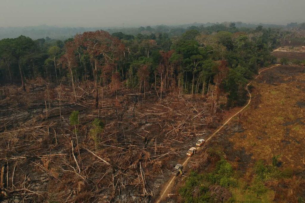 Imagem Ilustrando a Notícia: Governo usa só 41% do recurso para fiscalização ambiental e Bolsonaro comemora redução de multas