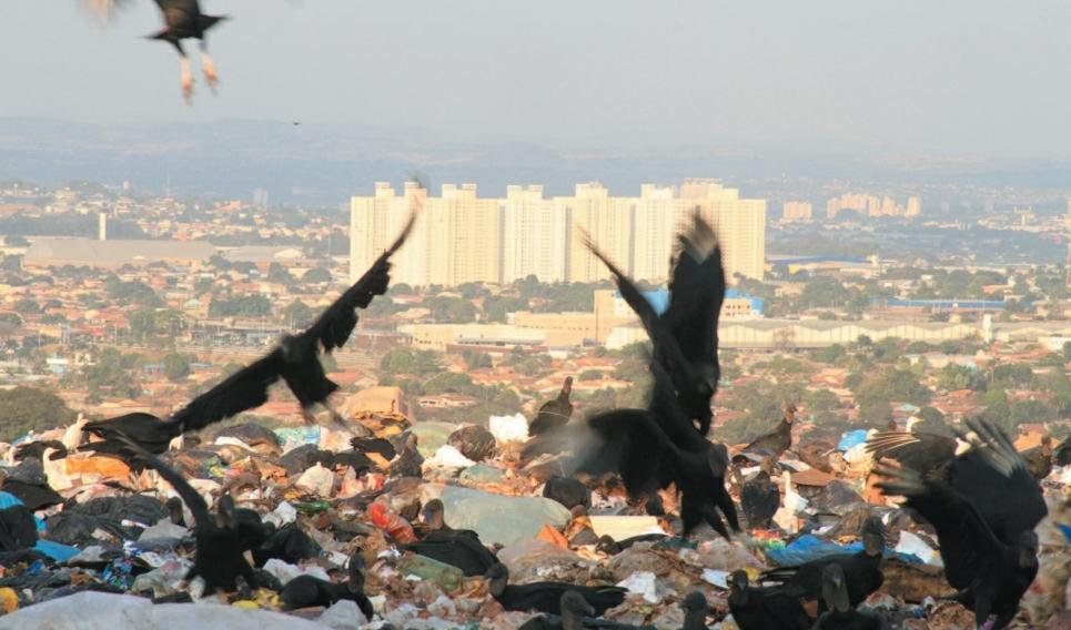 Imagem Ilustrando a Notícia: Setor da coleta e tratamento de lixo no país patina por falta de atração financeira