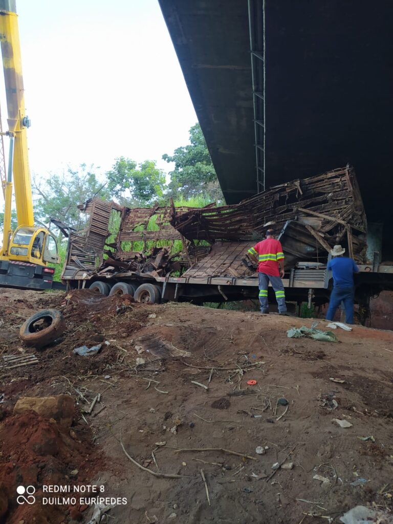 Imagem Ilustrando a Notícia: Oito dias após acidente, bois são retirados do Rio Meia Ponte, em Goiânia