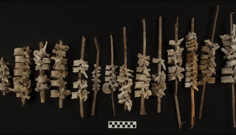 Imagem Ilustrando a Notícia: Arqueólogos encontram cerca de 200 vértebras humanas empilhadas em varas no Peru