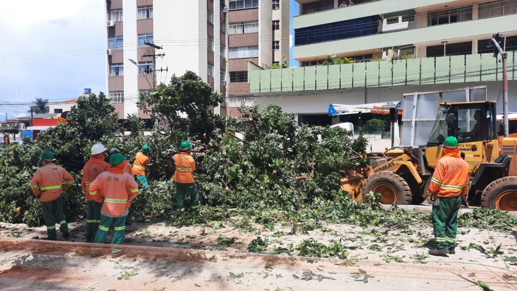 Imagem Ilustrando a Notícia: Além do atraso, árvores na avenida da Praça Cívica são retiradas para obras do BRT Norte/Sul