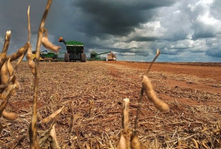 Imagem Ilustrando a Notícia: Em fevereiro, setor agropecuário criou mais de 3 mil empregos em Goiás