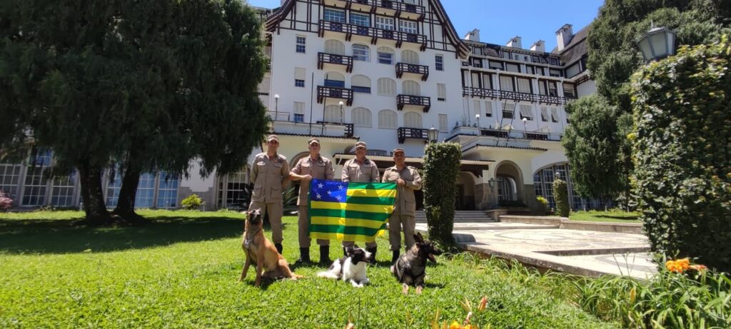 Imagem Ilustrando a Notícia: Bombeiros e cães voltam para Goiás depois de operação em Petrópolis no Rio de Janeiro