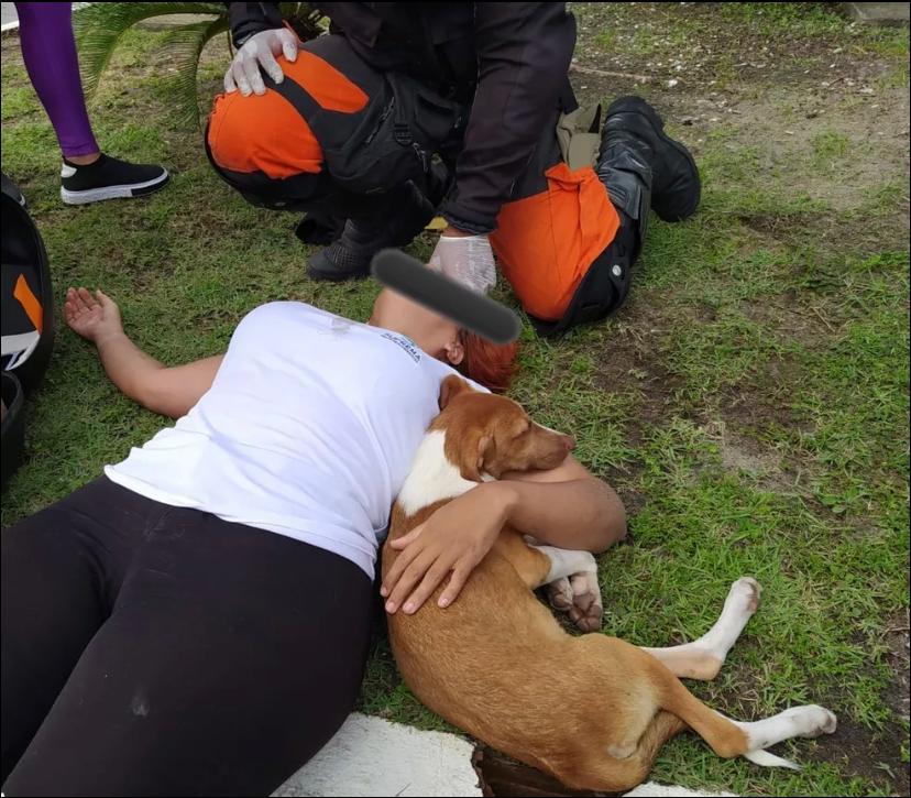 Imagem Ilustrando a Notícia: Mulher sofre acidente após desviar de cachorro e animal abraça ela durante primeiros socorros
