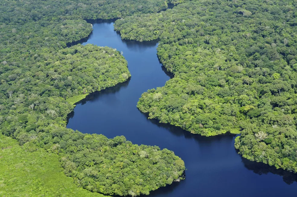 Imagem Ilustrando a Notícia: Pesquisa aponta que floresta amazônica está perdendo a capacidade de reagir ao desmatamento
