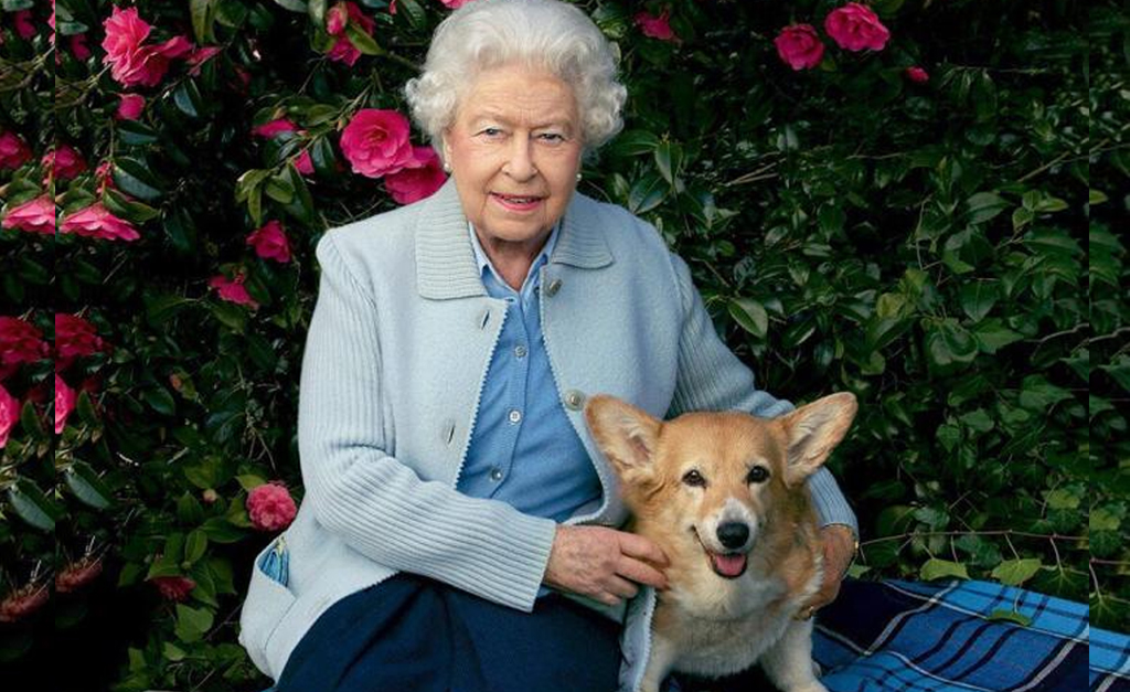 Imagem Ilustrando a Notícia: Aos 95 anos, a Rainha Elizabeth II não pode mais praticar lazer favorito; veja o que é