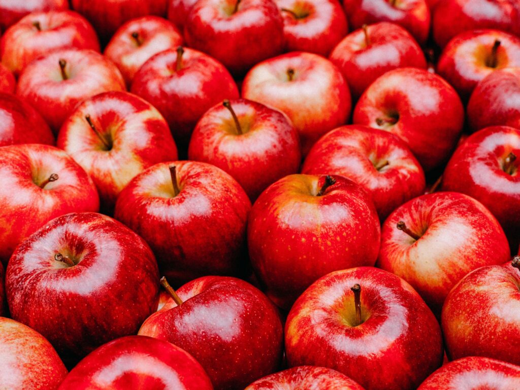 Imagem Ilustrando a Notícia: Confira benéficos que comer maçã diariamente pode trazer ao organismo