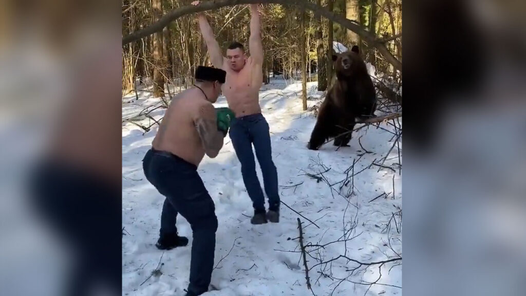 Imagem Ilustrando a Notícia: Homens fazem treinamento em meio à neve com ‘ajuda’ de um urso-pardo; Assista