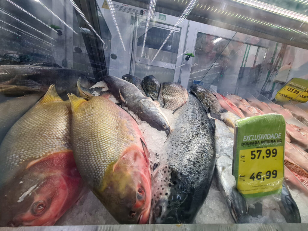 Imagem Ilustrando a Notícia: Procon aponta variação de até 187% no preço dos peixes durante a quaresma
