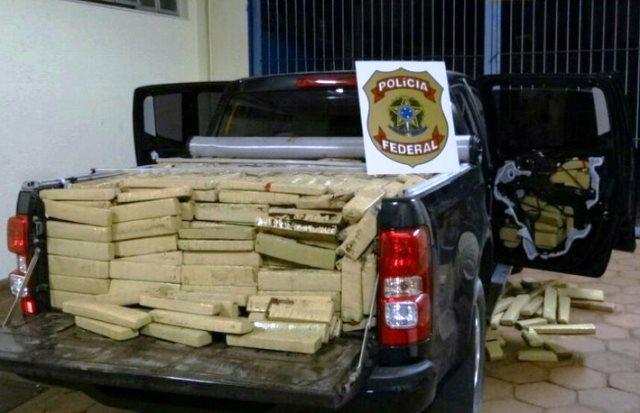Imagem Ilustrando a Notícia: PF: operação ‘Cavalo Doido’ chega ao fim com mais de 25 prisões por tráfico e lavagem de dinheiro
