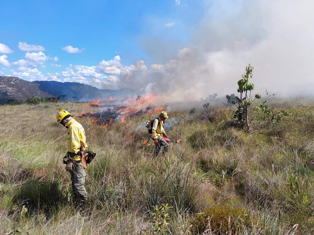 Imagem Ilustrando a Notícia: Fogo controlado é utilizado para prevenir queimadas no Cerrado