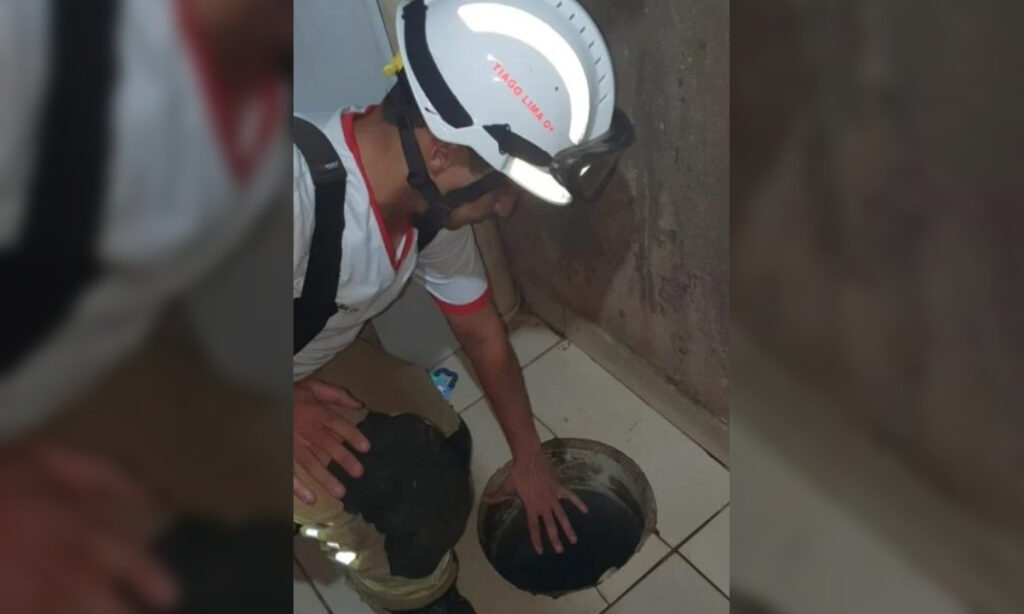 Imagem Ilustrando a Notícia: Bombeiros resgatam bebê de um ano que se afogou em caixa de gordura no DF; veja