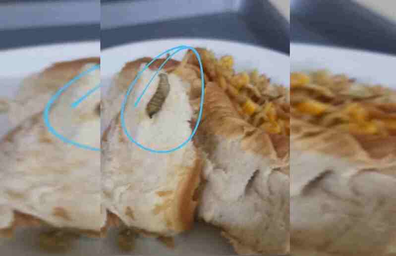 Imagem Ilustrando a Notícia: Funcionários denunciam encontrar larvas e insetos em refeições de hospital no Distrito Federal