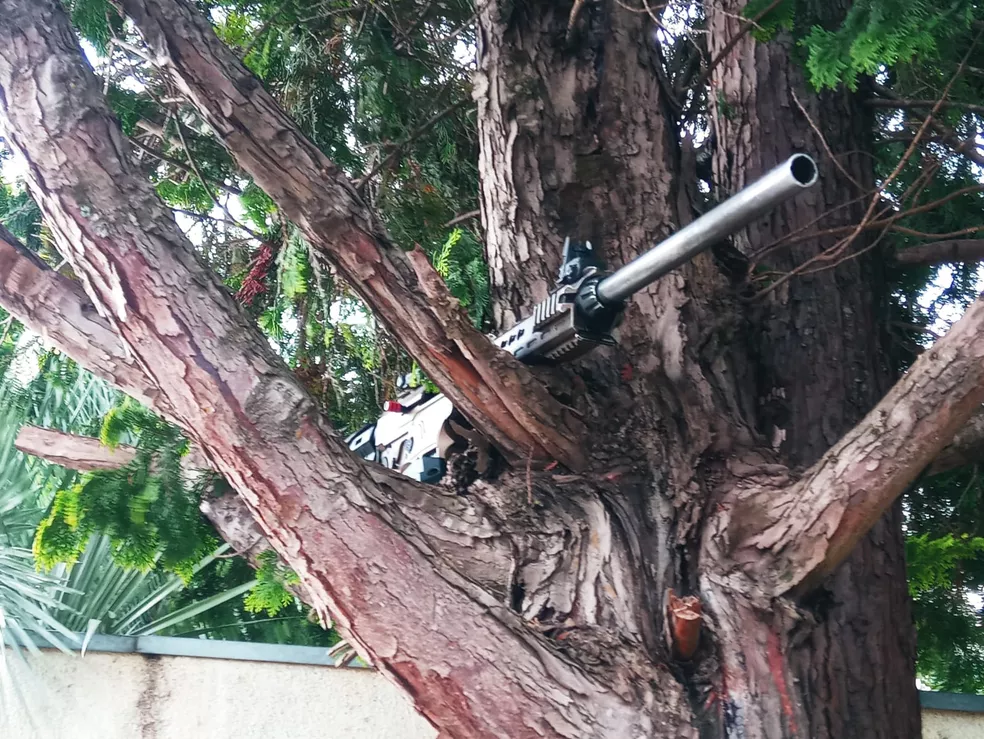 Imagem Ilustrando a Notícia: Durante fuga, assaltantes armados de Guarapuava (PR) abandonam fuzil em cima de árvore
