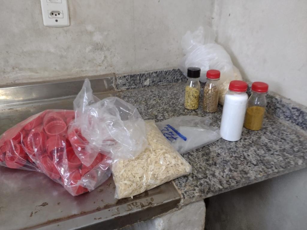 Imagem Ilustrando a Notícia: Decon e Vigilância Sanitária apreendem meia tonelada de produtos em fábrica clandestina de temperos