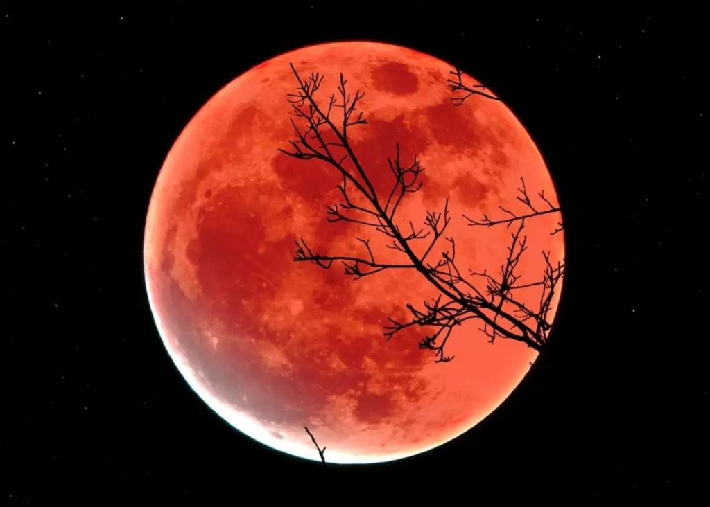 Imagem Ilustrando a Notícia: Eclipse Lunar ocorre neste domingo (15) em todo o país