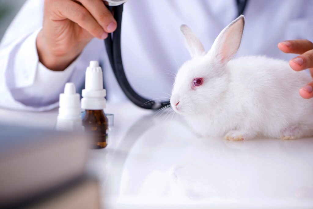 Imagem Ilustrando a Notícia: Lojas de cosméticos podem ser proibidas de vender produtos testados em animais