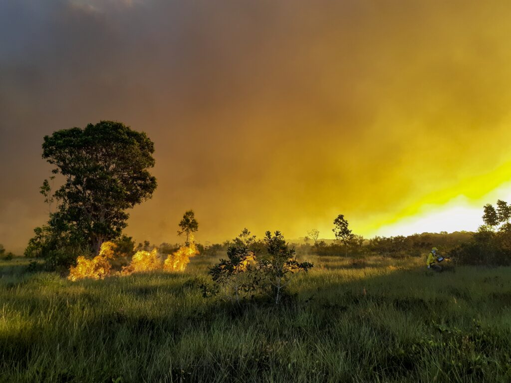 Imagem Ilustrando a Notícia: Incêndios florestais passam de mil em maio deste ano no Estado