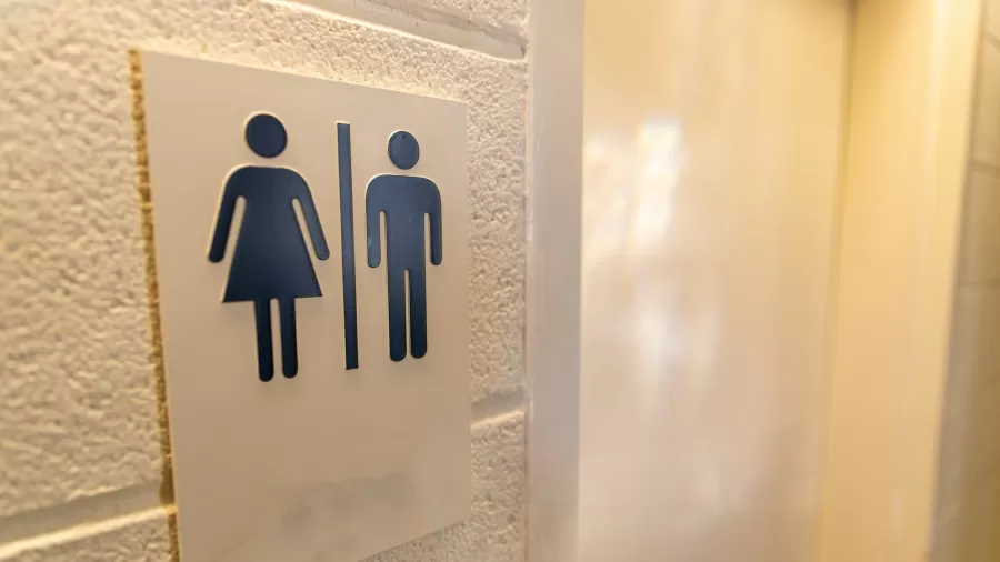 Imagem Ilustrando a Notícia: Projeto que proíbe banheiro unissex é inconstitucional