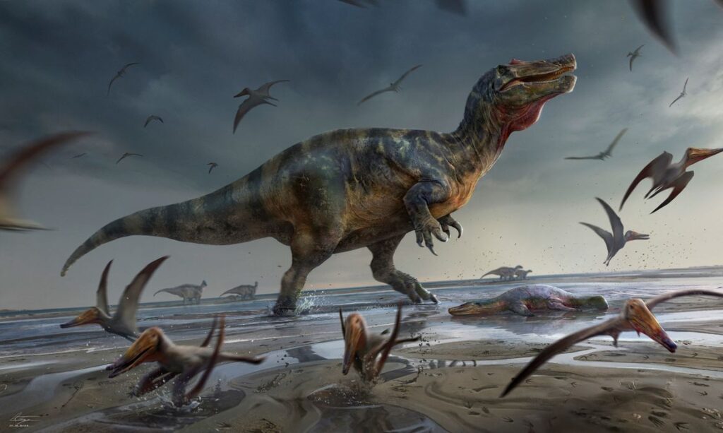 Imagem Ilustrando a Notícia: Cientistas encontram fósseis do maior dinossoauro carnívoro que já existiu na Europa; veja