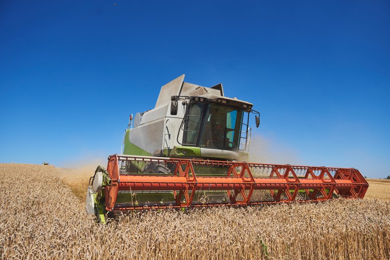 Imagem Ilustrando a Notícia: Empresas firmam parceria para produção de etanol a base de trigo