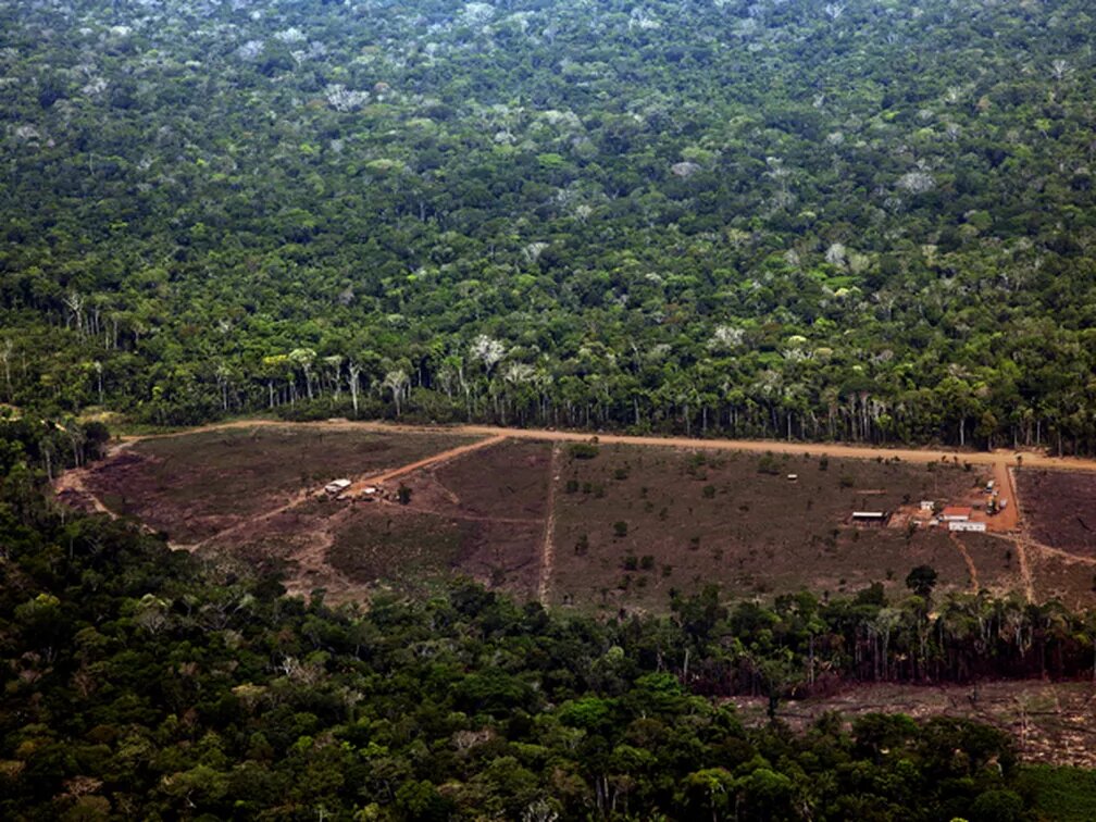 Imagem Ilustrando a Notícia: 8 dos 10 municípios que mais emitem gases do efeito estufa estão na Amazônia; entenda o motivo