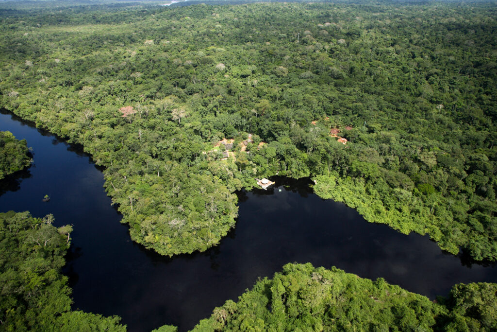 Imagem Ilustrando a Notícia: Amazônia está em alta com ecoturismo